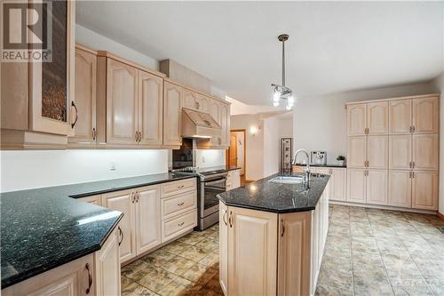 461 John Aselford Drive, Ottawa, ON - Indoor Photo Showing Kitchen