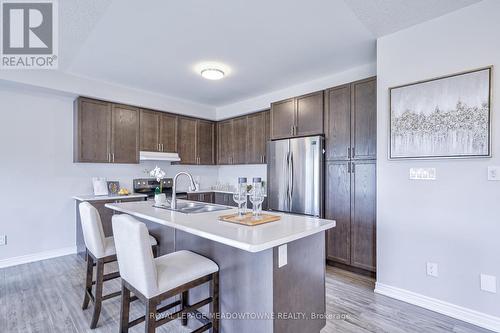 17 Pinot Crescent, Hamilton, ON - Indoor Photo Showing Kitchen With Double Sink