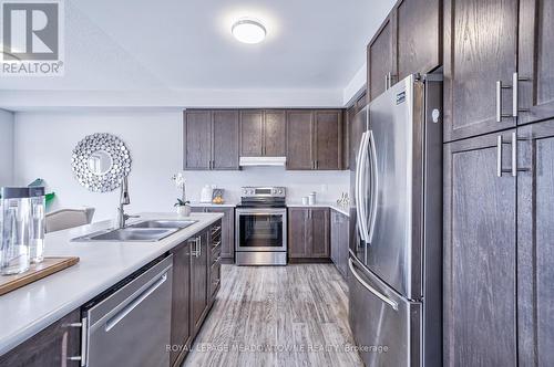 17 Pinot Crescent, Hamilton, ON - Indoor Photo Showing Kitchen With Double Sink With Upgraded Kitchen