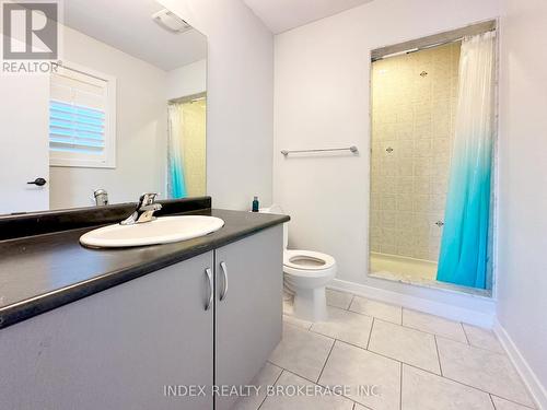 268 Crafter Crescent, Hamilton, ON - Indoor Photo Showing Bathroom