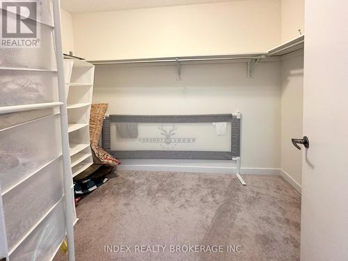 268 Crafter Crescent, Hamilton, ON - Indoor With Storage