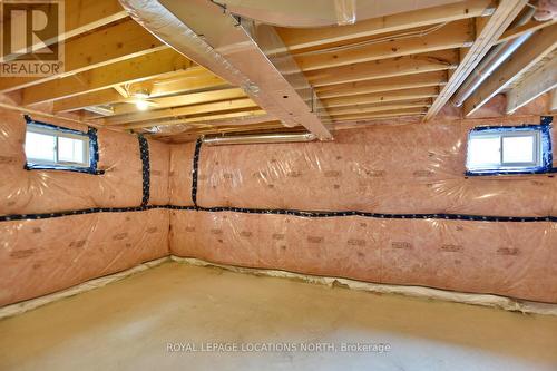 11 Spencer Street, Collingwood, ON - Indoor Photo Showing Basement