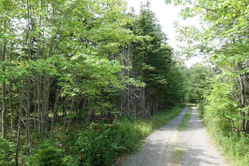 Cabot Trail, Skir Dhu, NS 