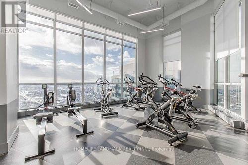 703 - 10 Park Lawn Road, Toronto, ON - Indoor Photo Showing Gym Room