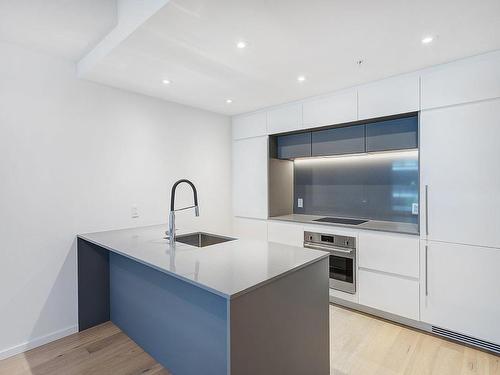 Kitchen - 225-1616 Rue Des Bassins, Montréal (Le Sud-Ouest), QC - Indoor Photo Showing Kitchen With Upgraded Kitchen