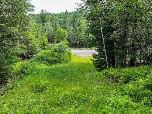 Terre/Terrain - Ch. De St-Adolphe, Morin-Heights, QC 