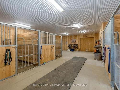 102554 Road 49 Rd, West Grey, ON - Indoor