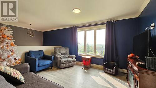 3 Forest Road, Chance Cove, NL - Indoor Photo Showing Living Room