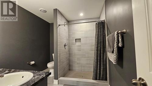 3 Forest Road, Chance Cove, NL - Indoor Photo Showing Bathroom