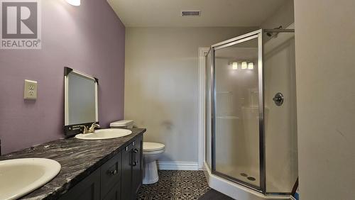 3 Forest Road, Chance Cove, NL - Indoor Photo Showing Bathroom