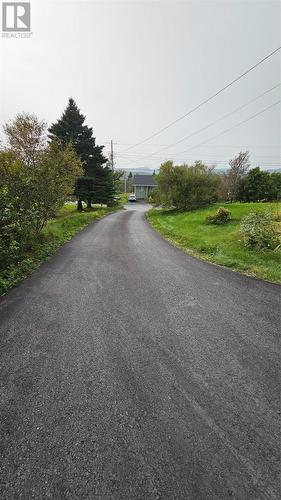 3 Forest Road, Chance Cove, NL - Outdoor