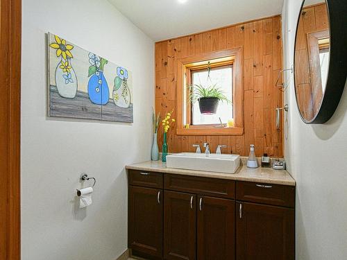 Salle d'eau - 204 Ch. Masson, Sainte-Marguerite-Du-Lac-Masson, QC - Indoor Photo Showing Bathroom