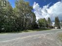 27 Riverview Dr, Iron Bridge, ON 