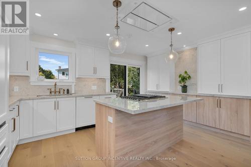 254 Cook Street, Barrie, ON - Indoor Photo Showing Kitchen With Upgraded Kitchen