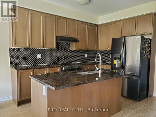 255 Bedrock Drive, Hamilton, ON - Indoor Photo Showing Kitchen With Double Sink