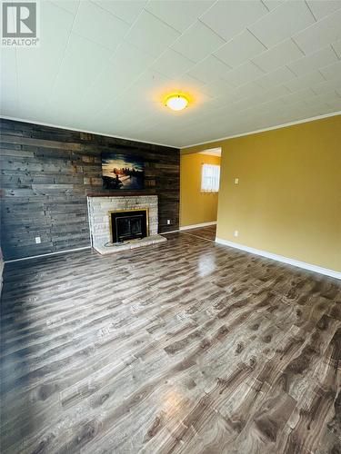 17 Greenwood Avenue, Grand Falls-Windsor, NL - Indoor With Fireplace