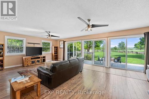 255 Victoria Road, Georgina, ON - Indoor Photo Showing Living Room