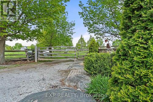 255 Victoria Road, Georgina, ON - Outdoor