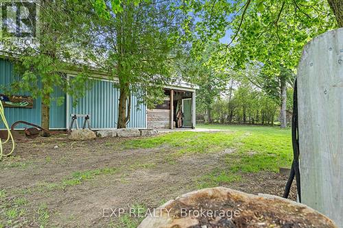 255 Victoria Road, Georgina, ON - Outdoor