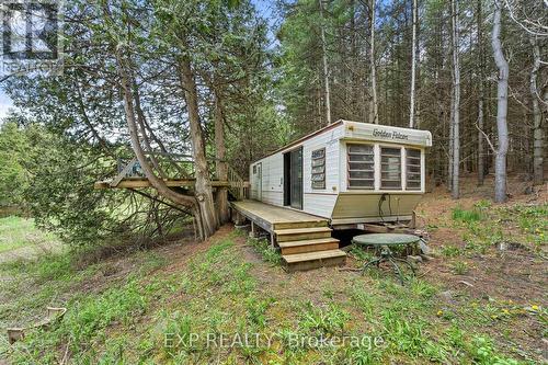 255 Victoria Road, Georgina, ON - Outdoor