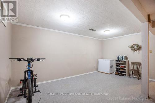 35 Ski Valley Crescent, London, ON - Indoor Photo Showing Gym Room