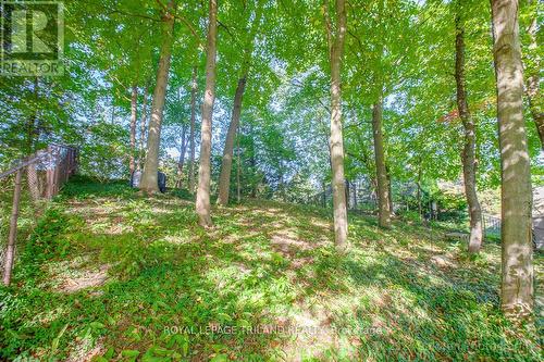 35 Ski Valley Crescent, London, ON - Outdoor