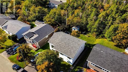 12 Chanterelle Drive, Conception Bay South, NL - Outdoor