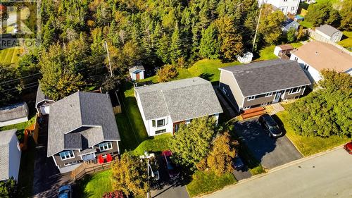 12 Chanterelle Drive, Conception Bay South, NL - Outdoor