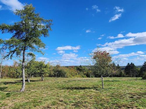 Lots Lansdowne Road, Bear River, NS 