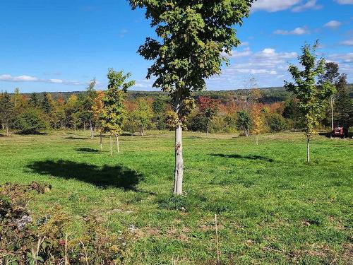 Lots Lansdowne Road, Bear River, NS 