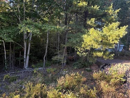 Lot B Meadowvale Road, Meadowvale, NS 