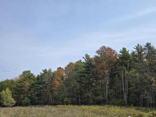 Lot 1A Lower Branch Road, Lower Branch, NS 