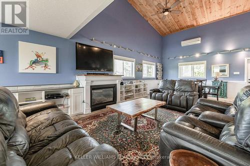 1291 Old Highway 8, Hamilton, ON - Indoor Photo Showing Living Room With Fireplace