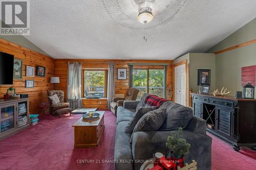 81 Lakeview Road, Bancroft, ON - Indoor Photo Showing Living Room With Fireplace