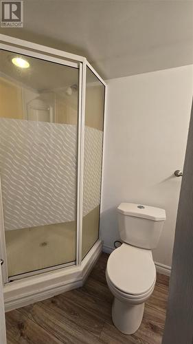 1092 Wellington St E, Sault Ste Marie, ON - Indoor Photo Showing Bathroom