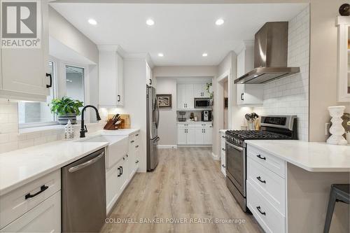 419 Darlene Crescent, London, ON - Indoor Photo Showing Kitchen With Upgraded Kitchen