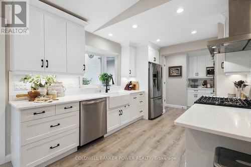 419 Darlene Crescent, London, ON - Indoor Photo Showing Kitchen With Upgraded Kitchen