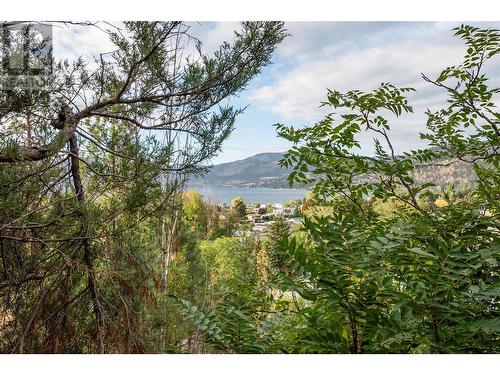 3972 Desert Pines Avenue, Peachland, BC - Outdoor With View