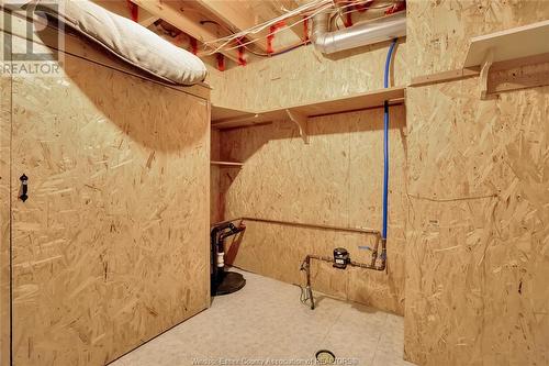 383 Lenore, Belle River, ON - Indoor Photo Showing Basement