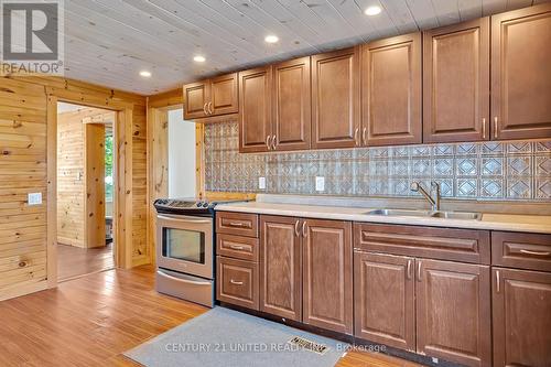 350 Dublin Street, Peterborough (Downtown), ON - Indoor Photo Showing Kitchen With Double Sink