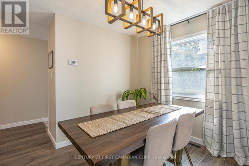 457 Wilkins Street, London, ON - Indoor Photo Showing Dining Room