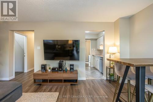 457 Wilkins Street, London, ON - Indoor Photo Showing Living Room