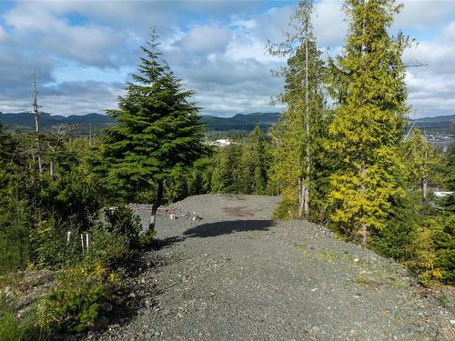 6605 Thomas Way, Port Hardy, BC 