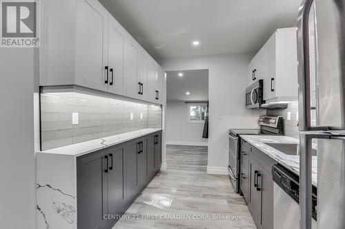 244 Giles Street, London, ON - Indoor Photo Showing Kitchen With Upgraded Kitchen