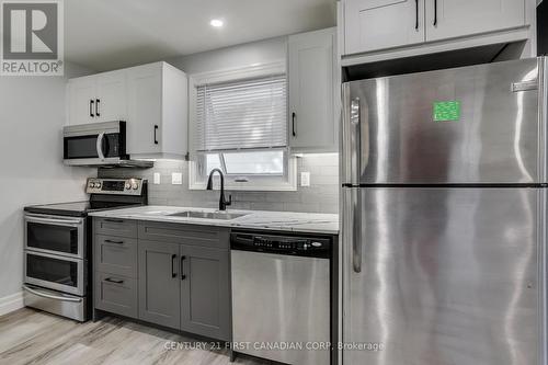 244 Giles Street, London, ON - Indoor Photo Showing Kitchen With Upgraded Kitchen