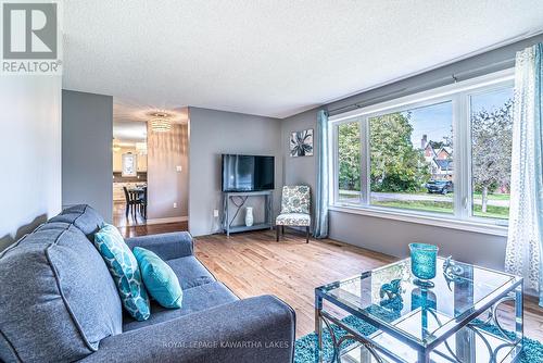 103 John Street, Kawartha Lakes (Woodville), ON - Indoor Photo Showing Living Room