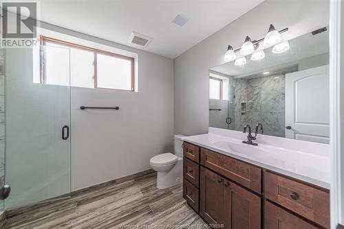 2000 Kelly Road, Lasalle, ON - Indoor Photo Showing Bathroom