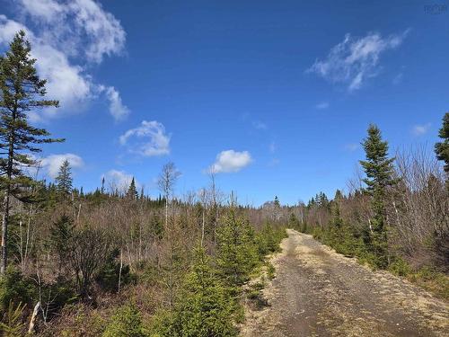 Lot 12 Hill Street, French Cove, NS 