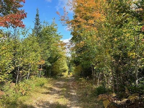 Lot Woodstock Road, Walden, NS 