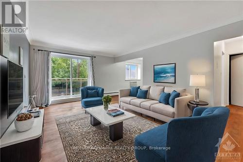 206 - 87 St George Street, Brantford, ON - Indoor Photo Showing Living Room